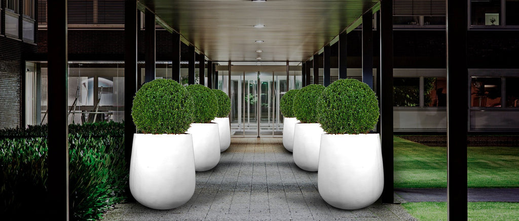 Top 10 Materials for Durable Outdoor Planters (And Which One Lasts Longest)