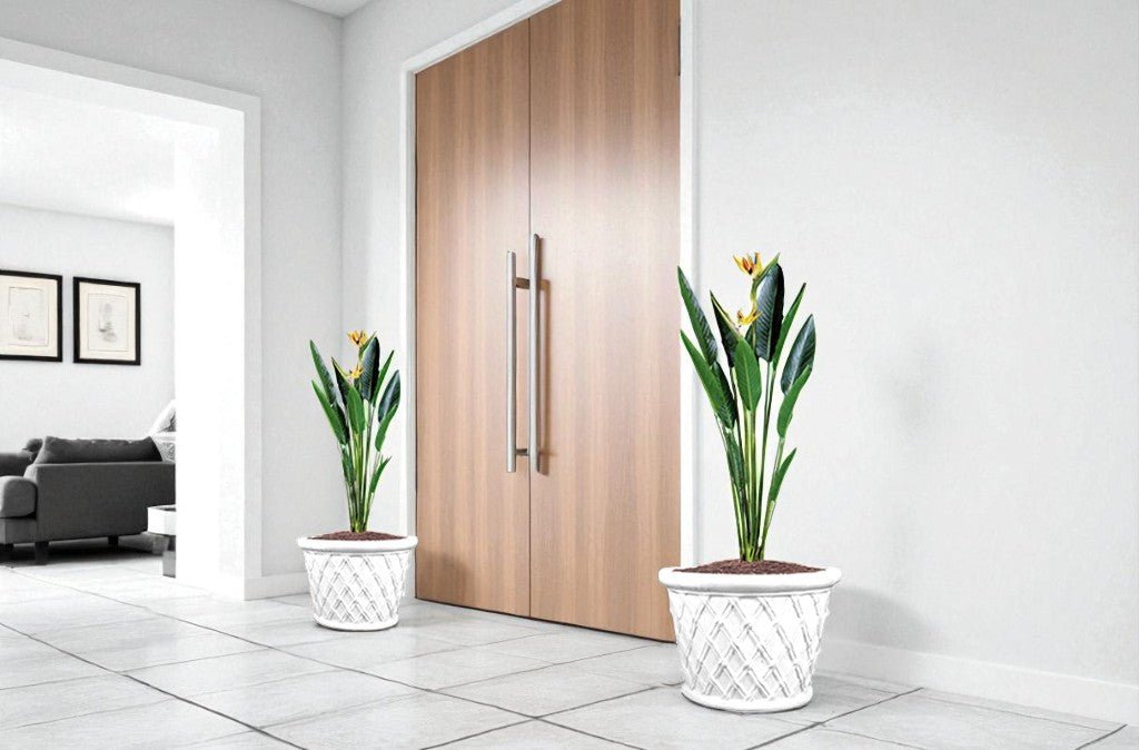 Top Modern Planter Trends