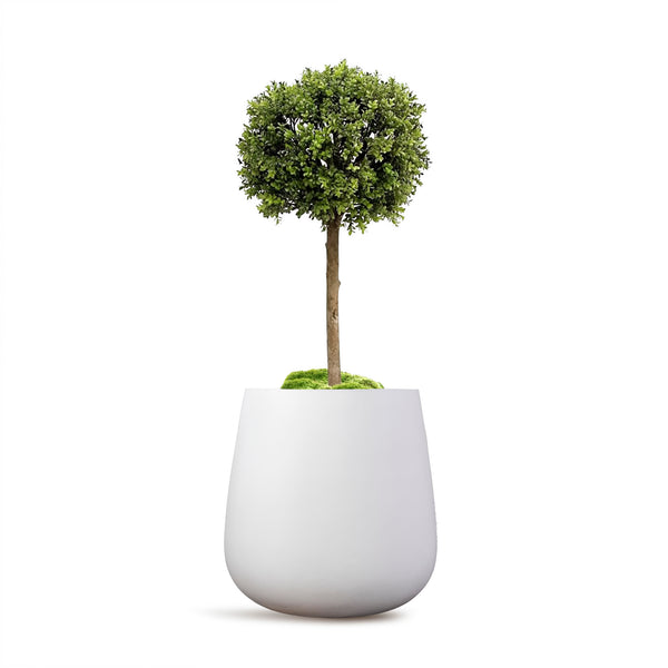 Zeus Planter