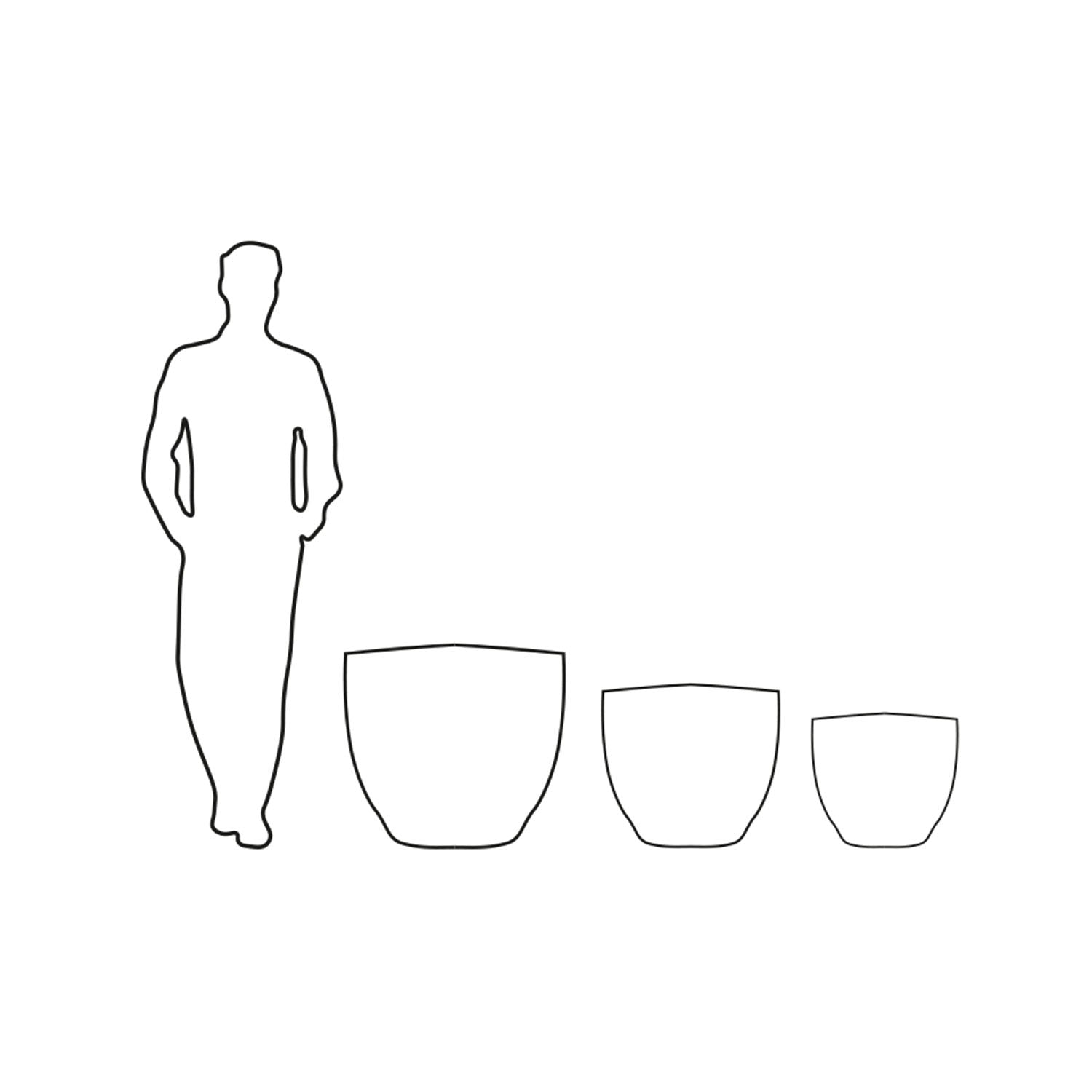 COLYBRASSUS - River Art Stone