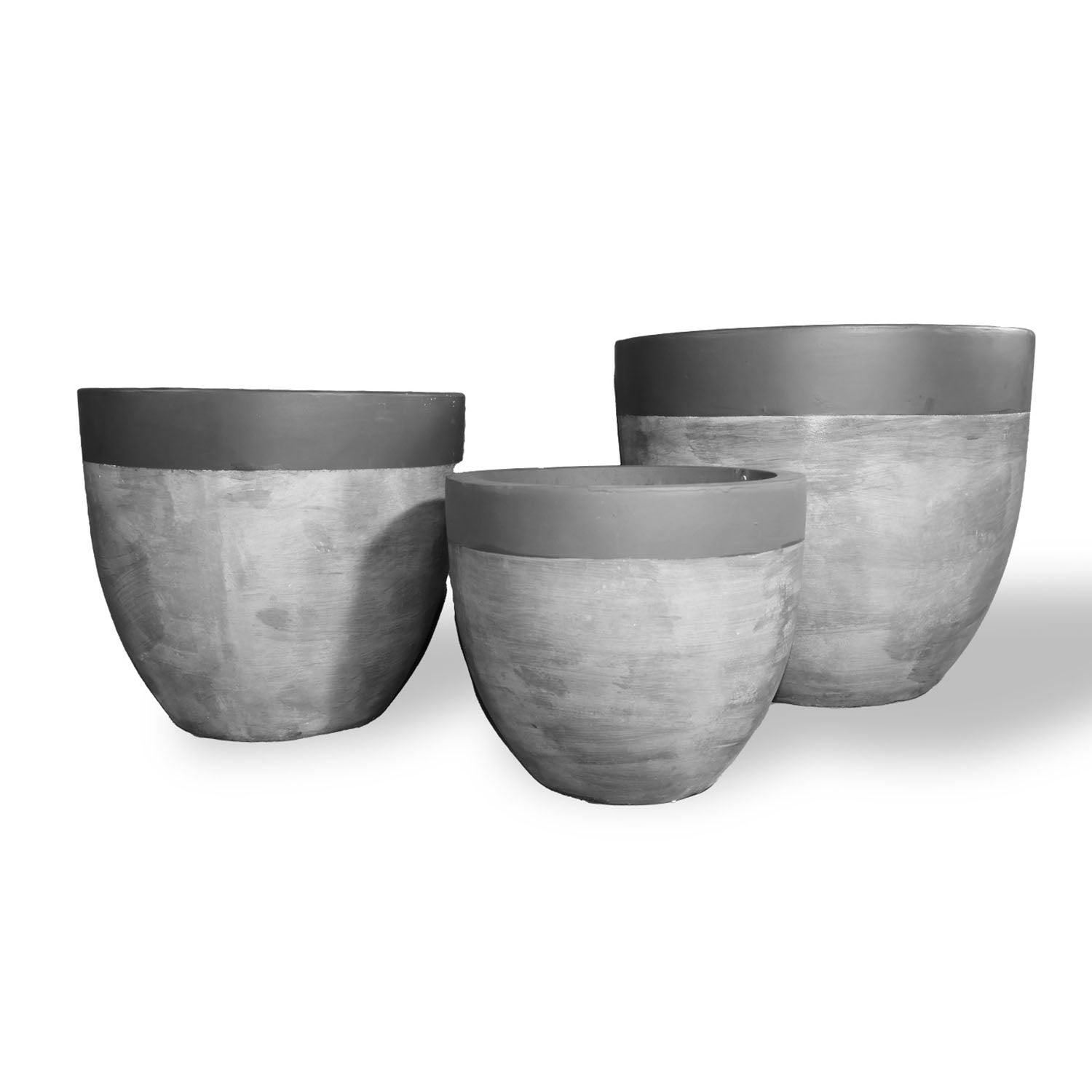 COLYBRASSUS - River Art Stone