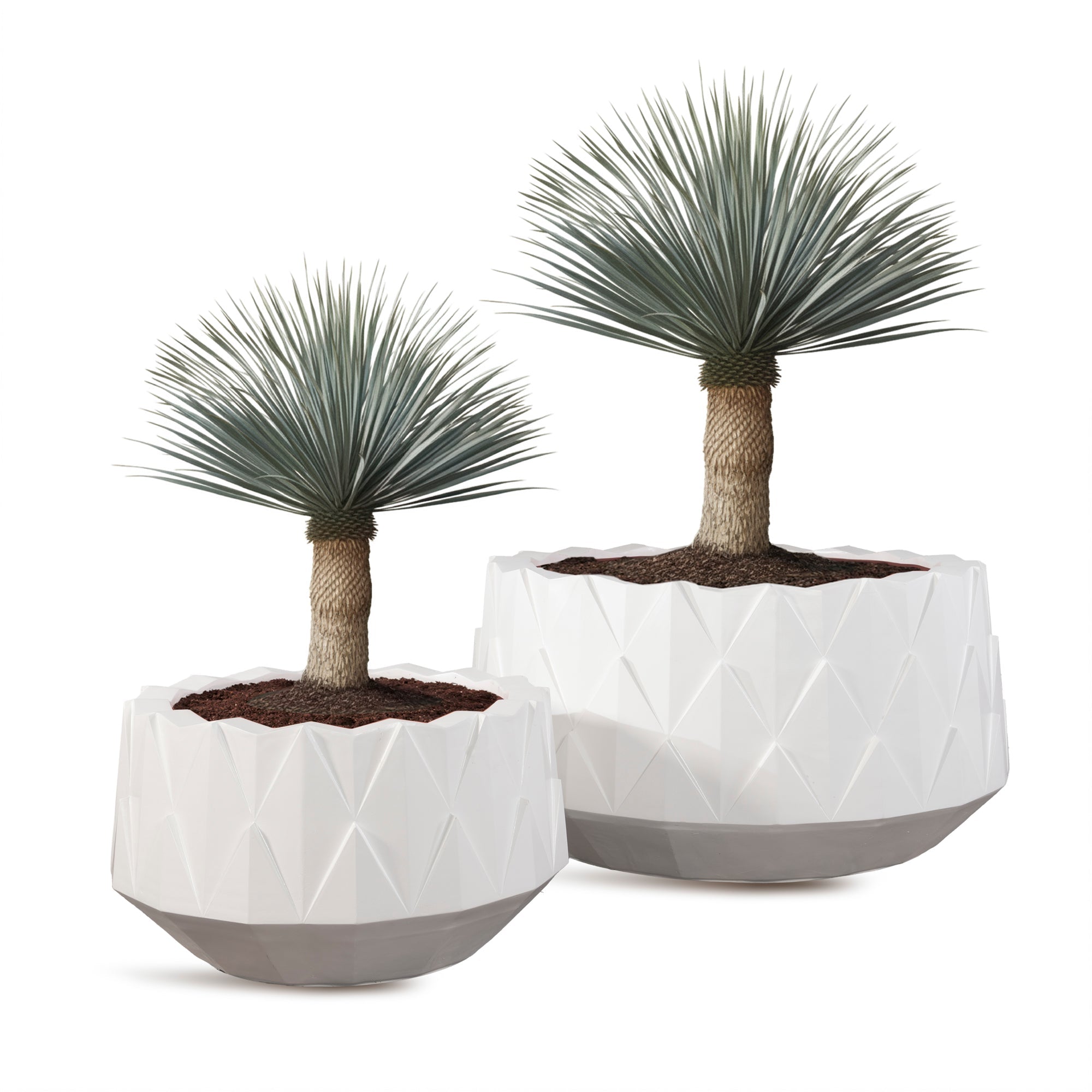 ENGINAR - River Art Stone