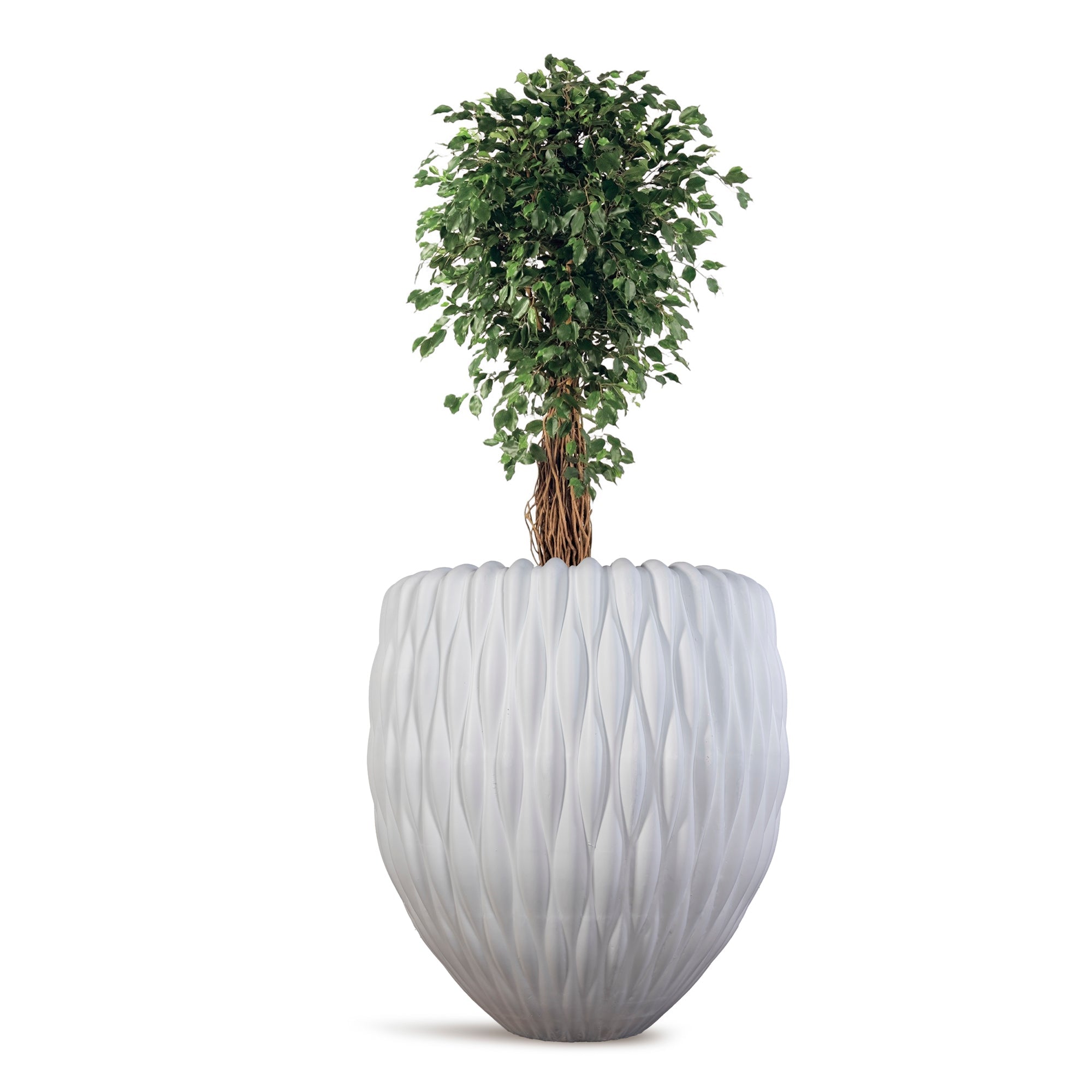 HAYYO - River Art Stone