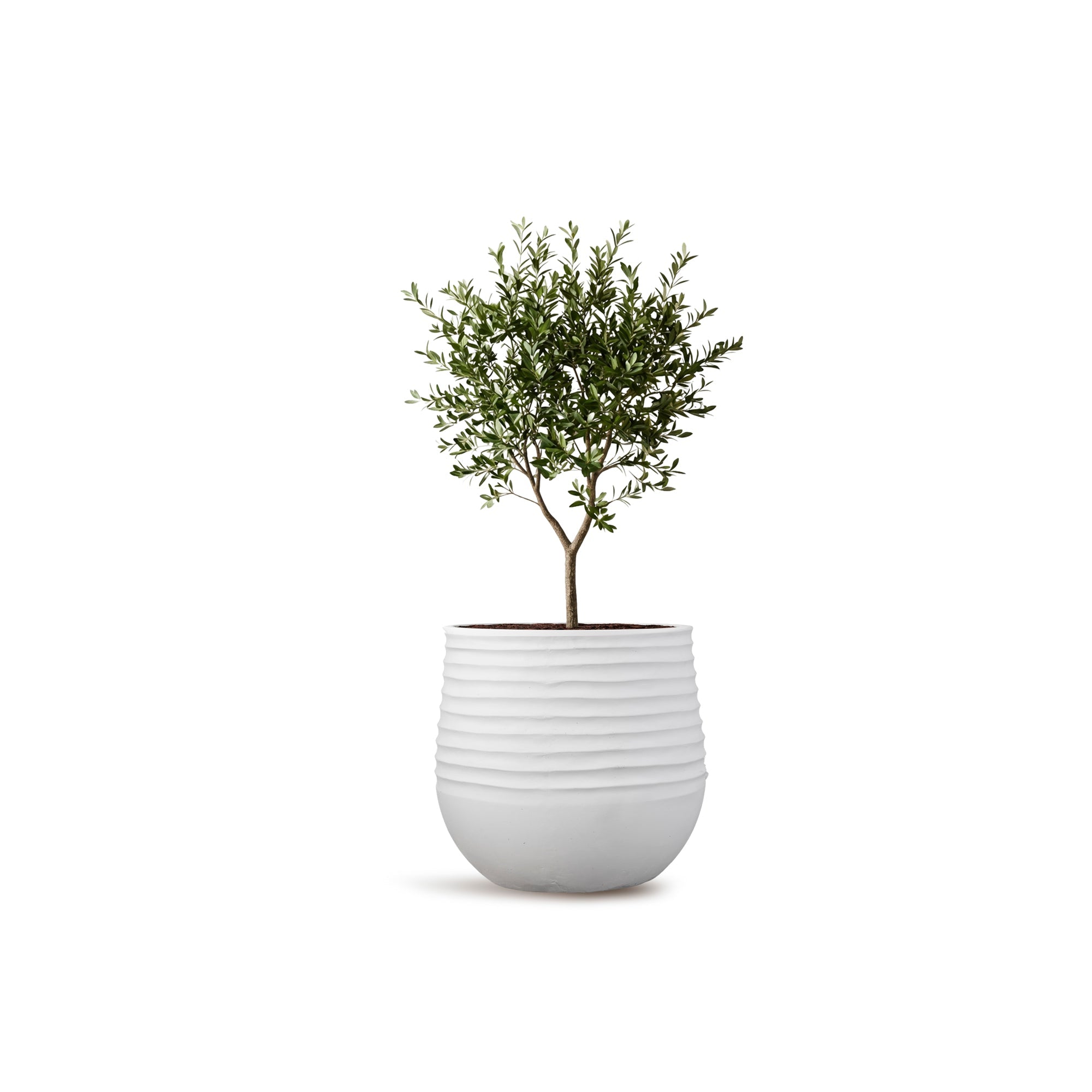 stone indoor plant pots Madnasa| Large Modern Outdoor Planter
