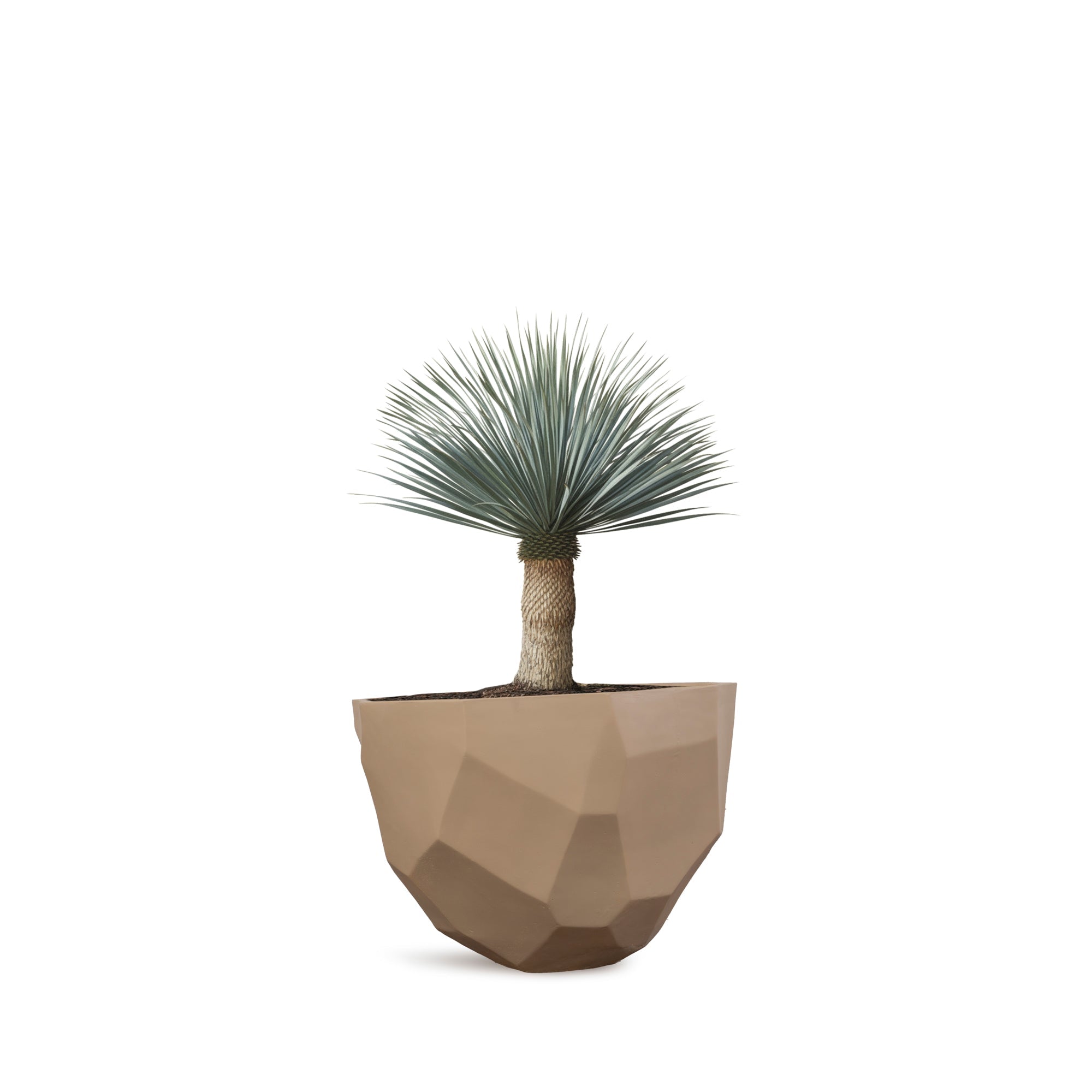 artstone plant pots Mammo Planter – Modern Outdoor Planters for Elegant Spaces