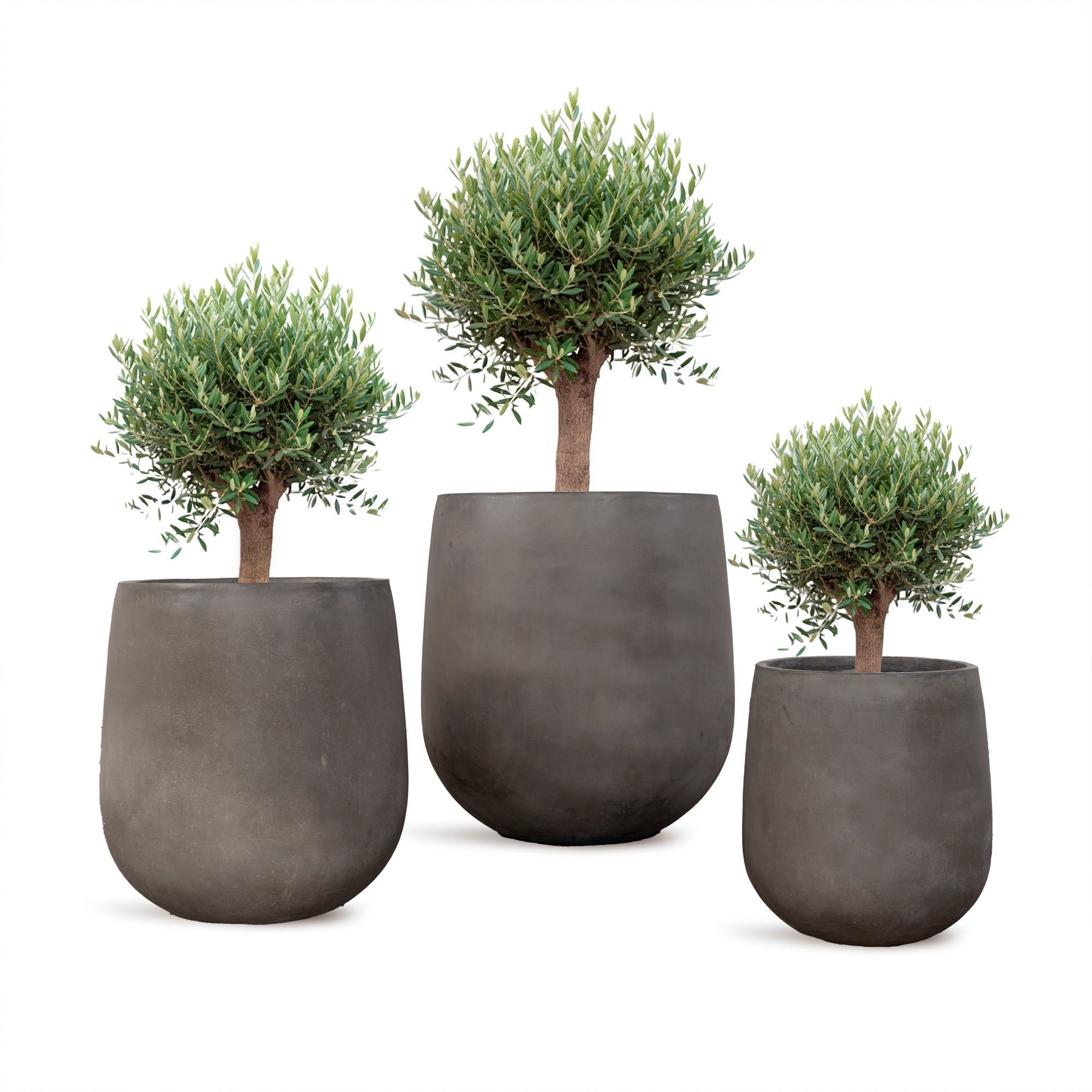 PERGAMON - River Art Stone