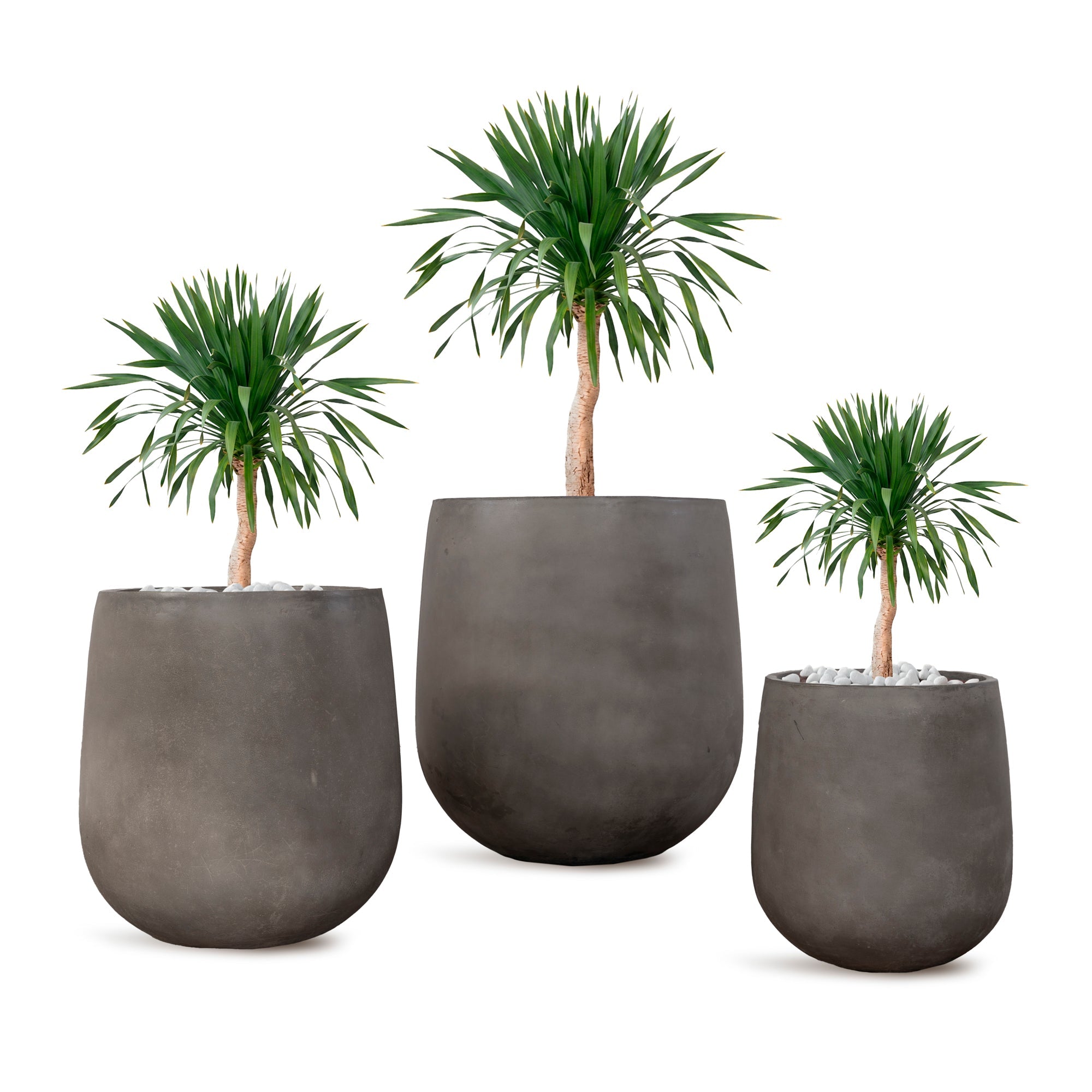 PERGAMON - River Art Stone