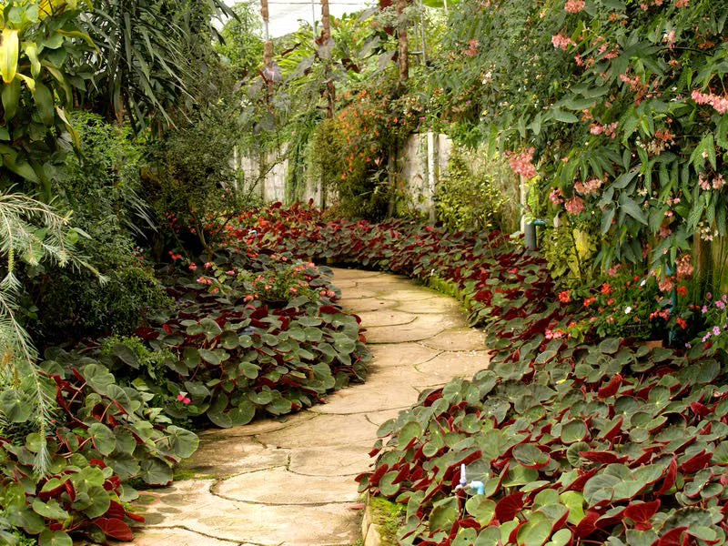Landscape Pathway