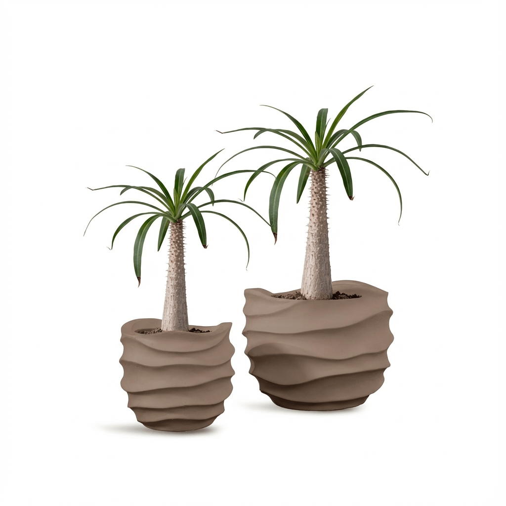 REGNUM - River Art Stone