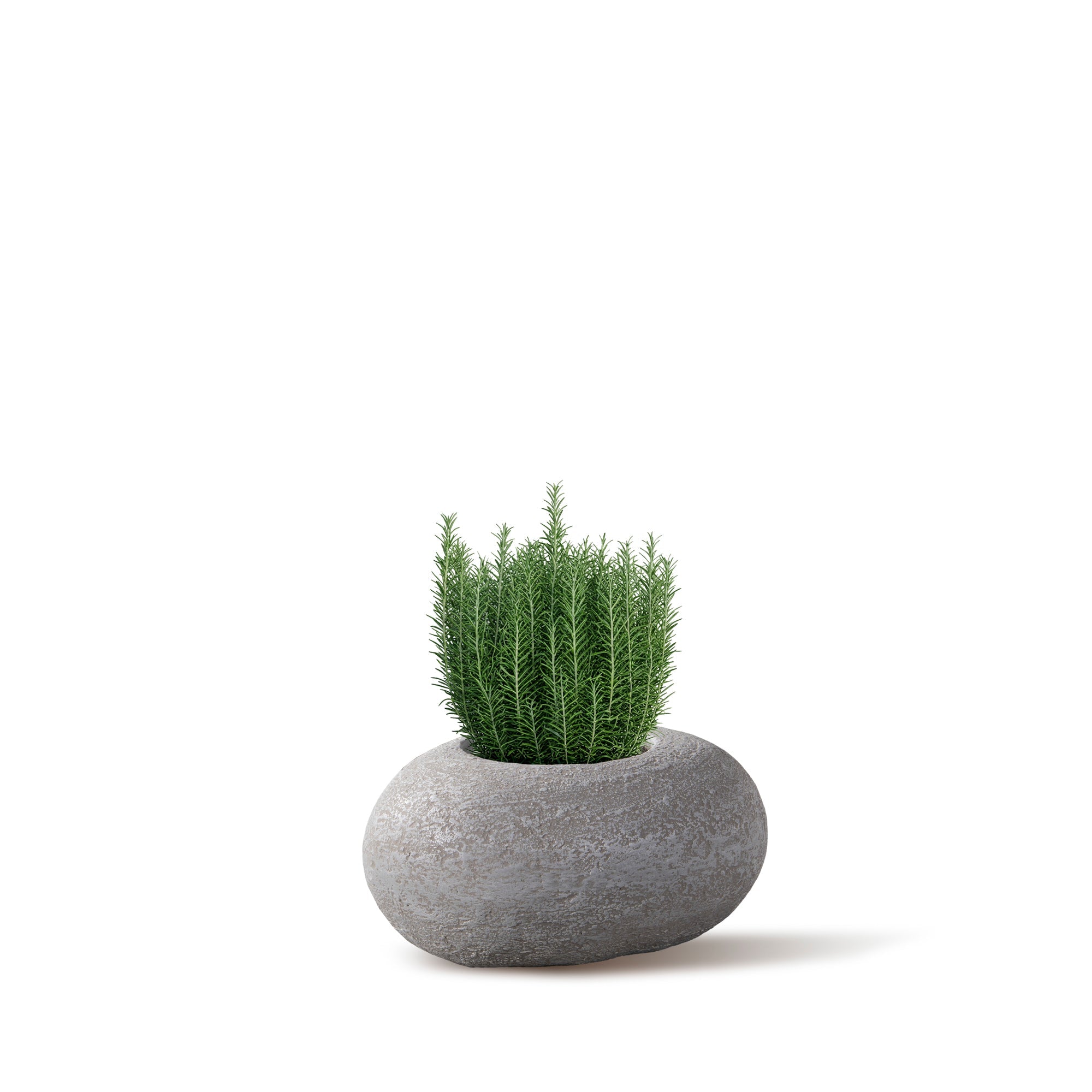 THE EGG - River Art Stone