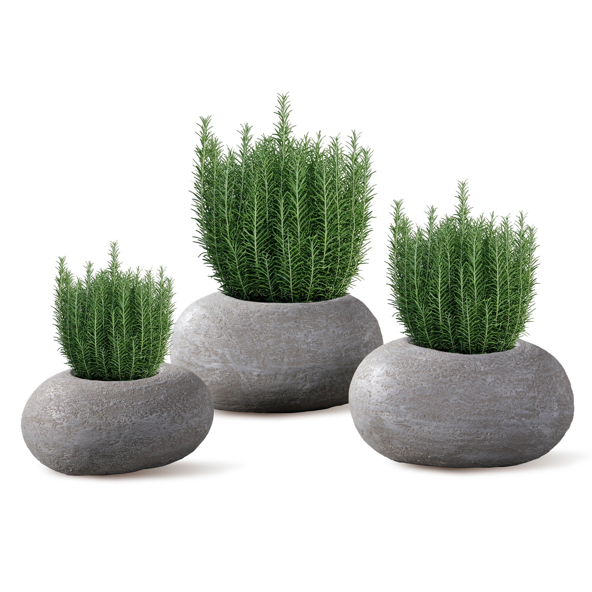 THE EGG - River Art Stone