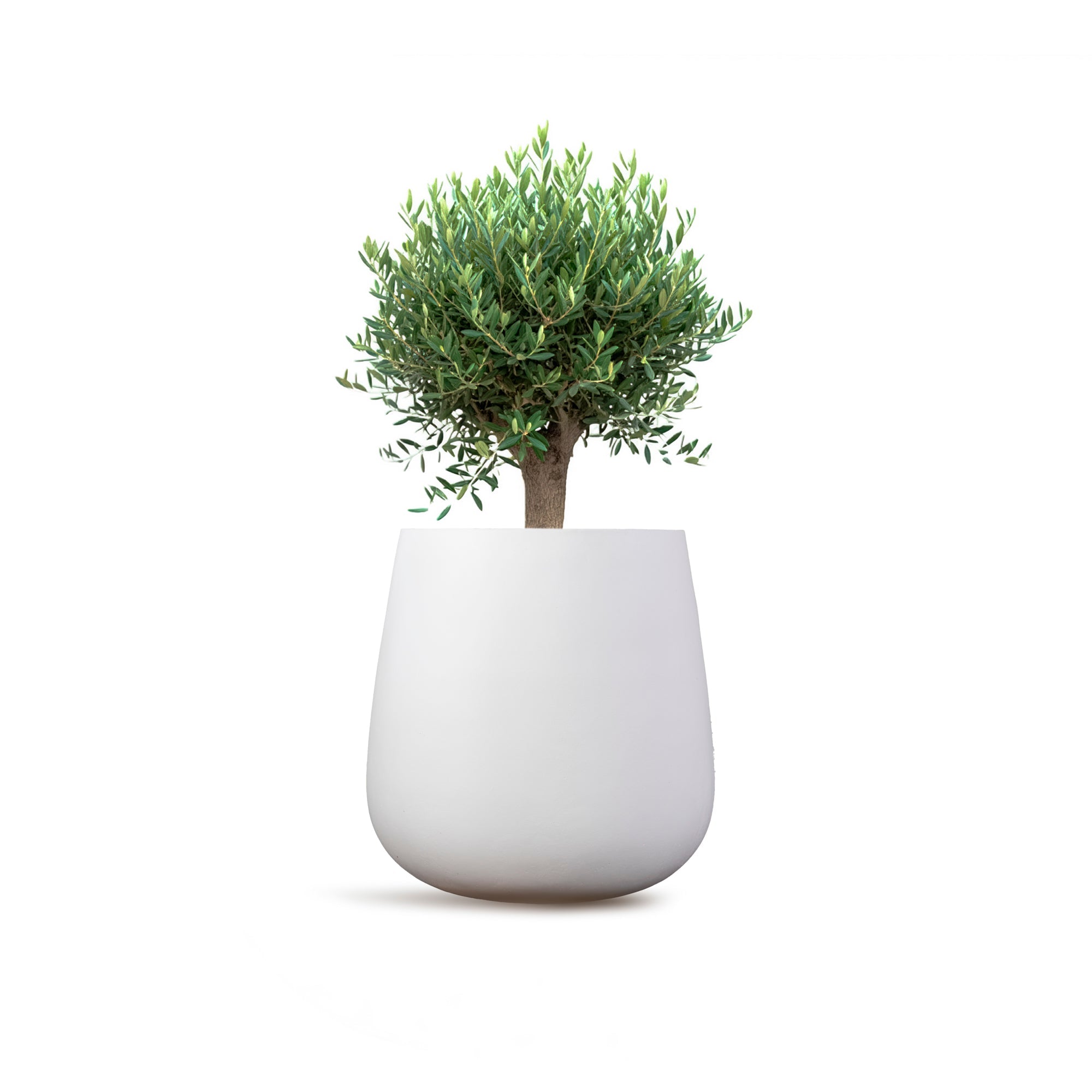 ZEUS - River Art Stone